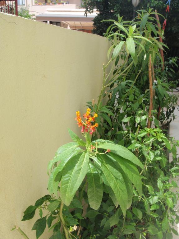 Aloe Apart Hotel Marmaris Zewnętrze zdjęcie