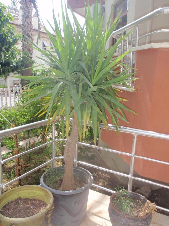 Aloe Apart Hotel Marmaris Zewnętrze zdjęcie